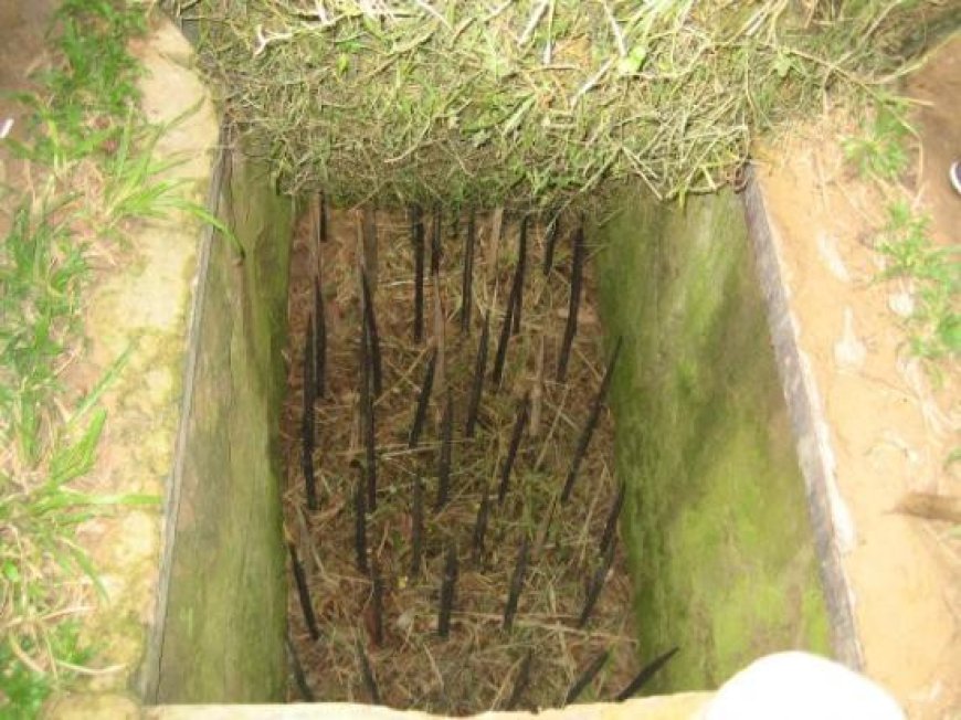 Vietnamo spąstai